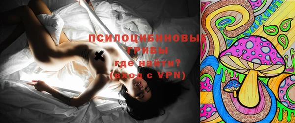 дурь Семёнов